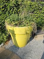 Te koop mega bloempot, Ophalen, Kunststof, Gebruikt, 100 cm of meer