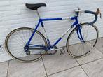 GIOS Torino Racefiets 1981, 55cm Campagnolo Super Record, 28 inch, Gebruikt, Heren, 53 tot 57 cm