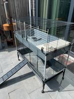 Konijnen kooij 2 verdiepingen, Dieren en Toebehoren, Ophalen of Verzenden, 90 cm of meer, Konijn, Hok