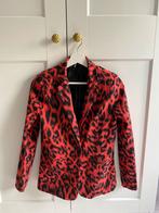 Shoeby blazer s, Ophalen of Verzenden, Zo goed als nieuw, Jasje, Shoeby