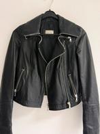 Ricci Donna! Leather jacket, Kleding | Dames, Ophalen of Verzenden, Zo goed als nieuw, Maat 34 (XS) of kleiner, Zwart