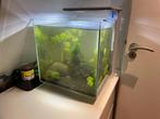 Aquarium Set  – Zo goed als nieuw, Ophalen, Zo goed als nieuw