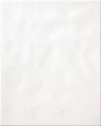 Wandtegels - RAKO GLANS WIT WAAG6000 20x25 - 51m², Doe-het-zelf en Verbouw, Tegels, Nieuw, Wandtegels, 20 tot 40 cm, Ophalen of Verzenden