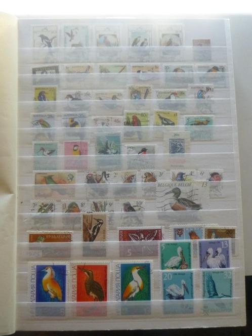 dik stockboek beter Motief oa vogels en vliegtuigen, Postzegels en Munten, Postzegels | Volle albums en Verzamelingen, Nederland en Buitenland