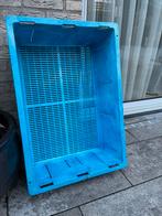 Drijvende koi inspectie bak, Dieren en Toebehoren, Vissen | Vijvervissen, Karper of Koi