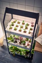 IKEA KRYDDA kweekkast inclusief verlichting, Ophalen, Zo goed als nieuw, Kweekbak