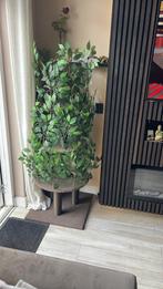 Krabpaal katten boom, Ophalen, Zo goed als nieuw