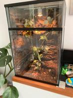 Terraruim, Dieren en Toebehoren, Reptielen en Amfibieën | Toebehoren, Ophalen, Gebruikt, Terrarium of Paludarium