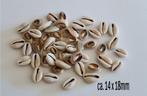 50 stuks Kauri Cowrie Schelpen Kralen Bedels, Ophalen of Verzenden, Nieuw, Kraal
