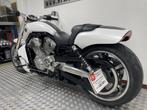 Harley Davidson VRSCF MUSCLE V-ROD 1250 ABS WHITE SPECIAL BO, Motoren, Motoren | Harley-Davidson, Laan van Vredenoord 33
2289 DA  Rijswijk, NL