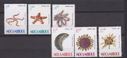 TSS Kavel 810091 Moçambique Postfris  minr 913-918 schelpen, Postzegels en Munten, Postzegels | Afrika, Postfris, Overige landen