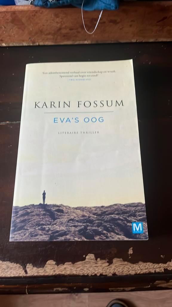 Eva's Oog - Karin Fossum - Literaire Thriller, Boeken, Thrillers, Gelezen, Nederland, Ophalen of Verzenden