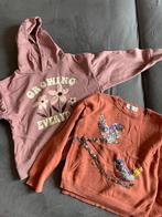 Kledingpakket mt 110-116, Kinderen en Baby's, Kinderkleding | Maat 110, Ophalen of Verzenden, Gebruikt, Meisje, Overige typen
