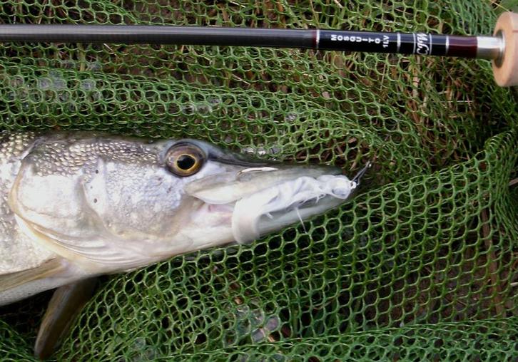 Snoekstreamers serie W voor vlieghengel en lichte spinhengel, Watersport en Boten, Hengelsport | Roofvissen, Nieuw, Complete set