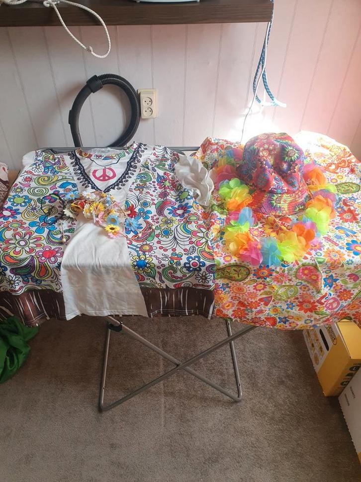 Carnavalskleding, Kleding | Dames, Carnavalskleding en Feestkleding, Zo goed als nieuw, Kleding, Carnaval, Maat 42/44 (L), Ophalen