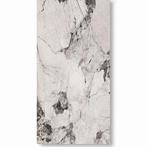 PVC wandplaat, waterbestendig, Doe-het-zelf en Verbouw, Platen en Panelen, Ophalen, Nieuw, Overige materialen, 20 tot 50 mm