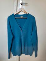 Pauw Amsterdam cashmere wol mix vest dames blauw 38/40, Kleding | Dames, Ophalen of Verzenden, Zo goed als nieuw, Maat 38/40 (M)
