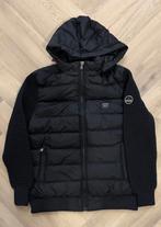 Jack Paul & Shark nieuw XXL, Kleding | Heren, Jassen | Winter, Verzenden, Zwart, Nieuw, Overige maten