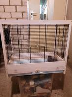 Klassieke houten vogelkooi, Dieren en Toebehoren, Vogels | Hokken en Kooien, Ophalen, Zo goed als nieuw, Hout, Vogelkooi