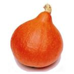 pompoenen en courgettes te koop, Ophalen, Volle zon, Eenjarig, Zomer