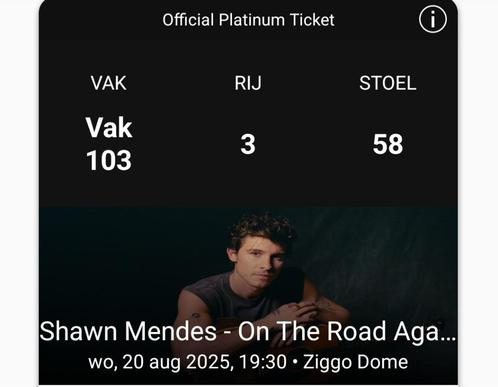 Shawn Mendes ticket Amsterdam, Tickets en Kaartjes, Concerten | Pop, Eén persoon, Augustus