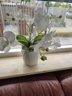 Zeer mooie kunst orchidee. 3 stuks beschikbaar., Ophalen of Verzenden