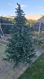 Inklapbare Kerstboom - Gemakkelijk op te bergen!, Tuin en Terras, Bloeit niet, 100 tot 250 cm, Volle zon, In pot