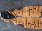 Bodywarmer Mayoral 134cm, Kinderen en Baby's, Kinderkleding | Maat 134, Ophalen, Zo goed als nieuw, Meisje, Jas