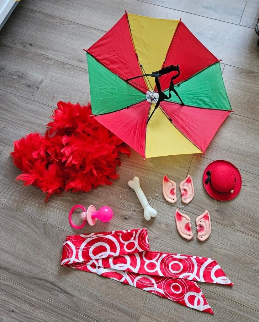 Carnaval vastelovendj accessoires, Ophalen of Verzenden