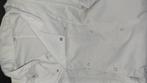 Koks outfit voor koksopleiding, Kleding | Heren, Ophalen of Verzenden, Gedragen