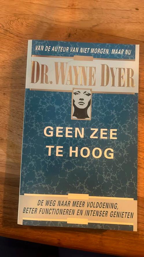 W.W. Dyer - Geen zee te hoog, Boeken, Psychologie, Zo goed als nieuw, Ophalen of Verzenden