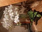 Kwaliteits kunst orchideeën, Ophalen, Zo goed als nieuw