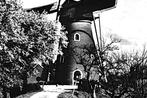 913699	Beesd	Gld molen	Nette oude kaart Onbeschreven, Verzamelen, Ansichtkaarten | Nederland, Ophalen of Verzenden, Ongelopen