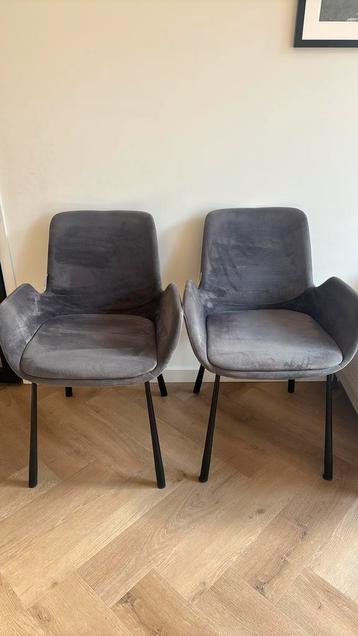 Zuiver Velours Grijze Eetkamerstoelen beschikbaar voor biedingen