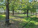 Weiland te huur voor paarden, Dieren en Toebehoren, Stalling en Weidegang, Weidegang, 2 of 3 paarden of pony's