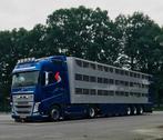 WSI VOLVO FH 04  LIVE STOCK TRAILER   3  AXLE  GROOT ZEVERT, Hobby en Vrije tijd, Modelauto's | 1:50, Nieuw, Wsi, Ophalen of Verzenden