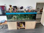 vis aquarium te koop, Dieren en Toebehoren, Ophalen of Verzenden, Zo goed als nieuw, Leeg aquarium