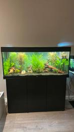 Leeg 240L aquarium van Juwel, Dieren en Toebehoren, Vissen | Aquaria en Toebehoren, Ophalen, Zo goed als nieuw, Leeg aquarium