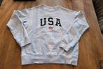 America Today USA trui maat XS, America Today, Ophalen of Verzenden, Grijs