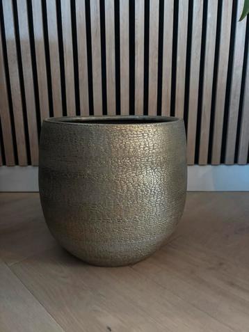 Plantenpot goud, relief beschikbaar voor biedingen