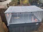Cavia of konijnen kooi, Minder dan 60 cm, Kooi, Ophalen of Verzenden, Zo goed als nieuw