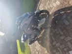 Yamaha tricity 300 voor info: tel 0646860644, Motoren, Motoren | Yamaha, Scooter, Particulier, 350 cc, 1 cilinder