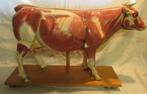 antiek anatomisch model koe met organen uitschuifbaar 21, Antiek en Kunst, Curiosa en Brocante, Ophalen