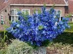 Nieuwe kunstbloemen/ kunsttakken/ veldboeket/ gemengd boeket, Binnen, Info@rodebeagle.nl, Rode Beagle Kunstbloemen, Nieuw