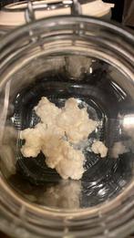 Kefir korrels, Diversen, Ophalen