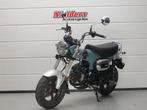 Honda ST 125 DAX HONDA ST 125 DAX (bj 2024), Bedrijf, Naked bike