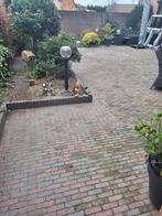 Waaltjes ongeveer 50 m2, Tuin en Terras, Tegels en Klinkers, Ophalen of Verzenden, Gebruikt, Beton, Klinkers