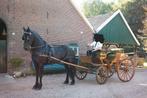 Sjieke Duitse Jachtwagen uit 1900 MET zgan. dubbel spantuig., Dieren en Toebehoren, Gebruikt, Overige typen, Paard