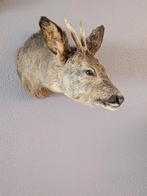Reekalf shouldermount, Verzamelen, Dierenverzamelingen, Ophalen of Verzenden, Nieuw, Paard, Beeldje of Figuurtje