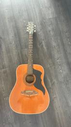 Eko western gitaar, Muziek en Instrumenten, Snaarinstrumenten | Gitaren | Akoestisch, Ophalen, Zo goed als nieuw, Western- of Steelstringgitaar